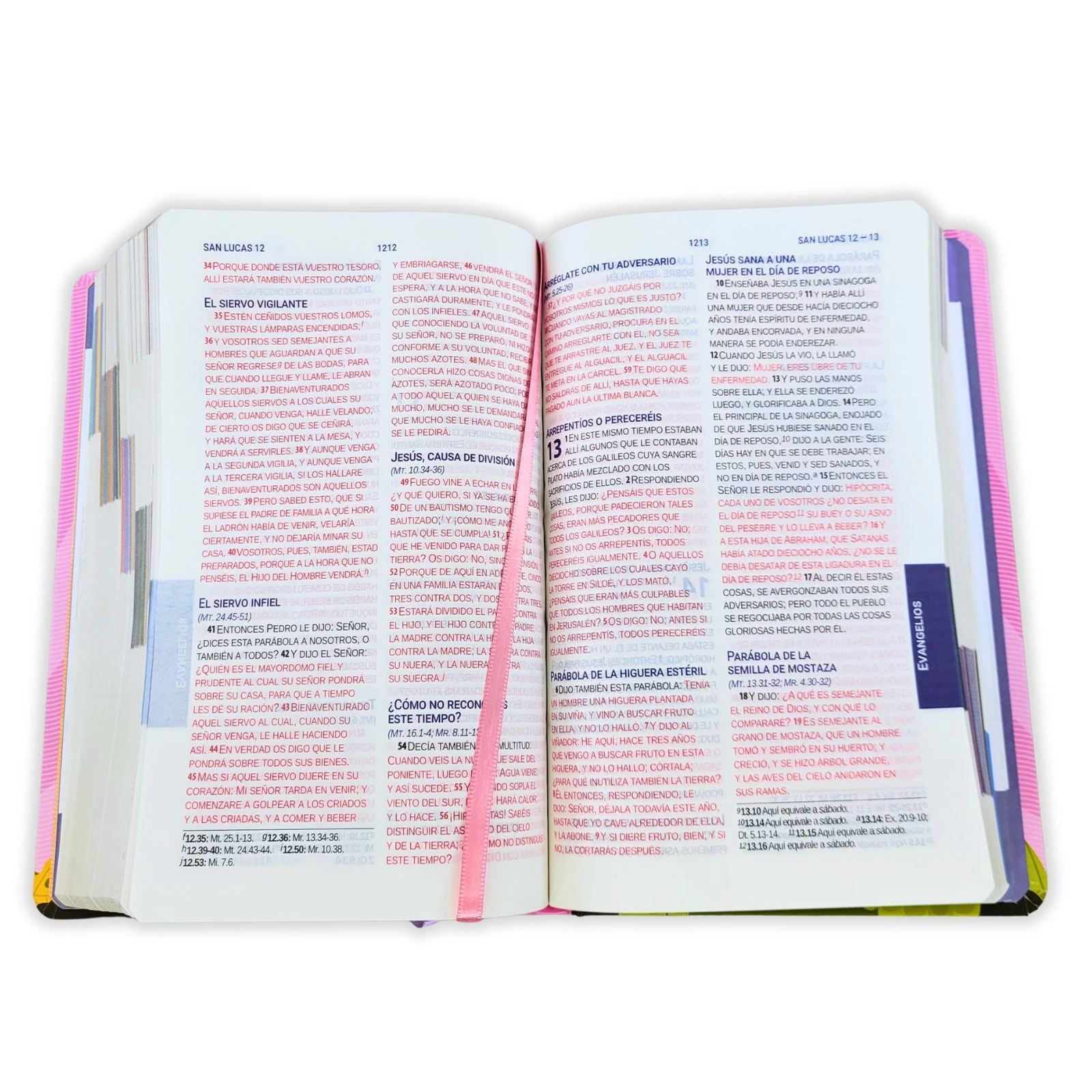Biblia para Niños con Letra Grande Mayúscula RV1960: Amigos de la Biblia, tapa dura rosado con índice impreso - Imagen 6