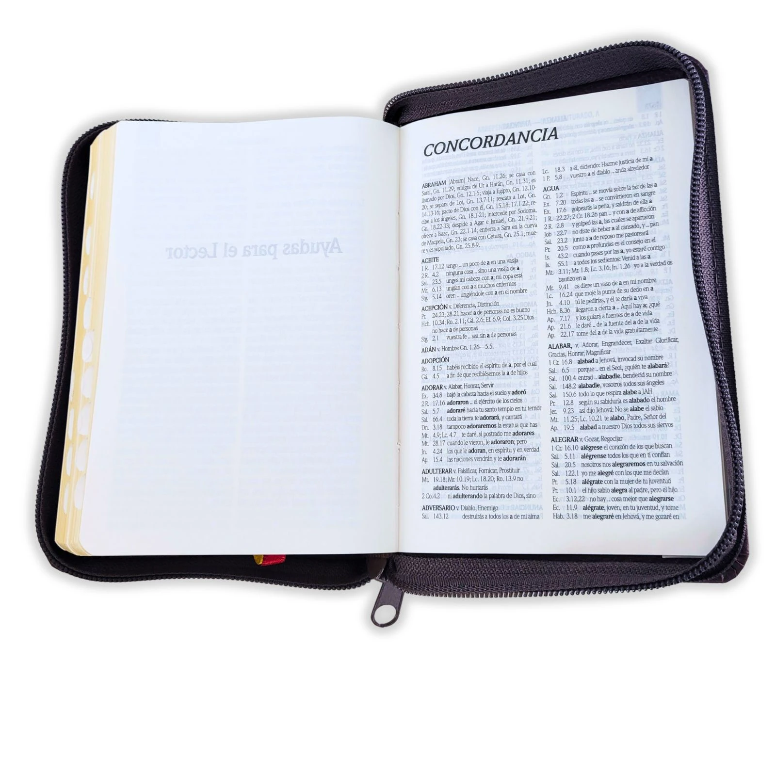 Biblia Bolsillo con Cierre RV1960, imit piel vino con índice - Apocalipsis 2:7 - Imagen 4