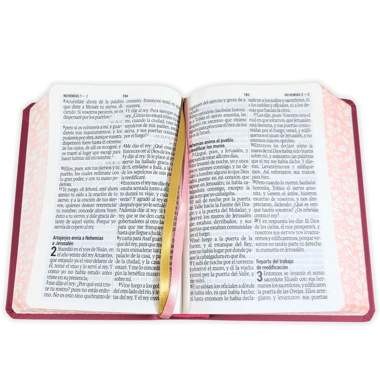 Biblia Compacta con Letra Grande 11 puntos RV1960, imit piel flores fucsia con canto floral - Imagen 2