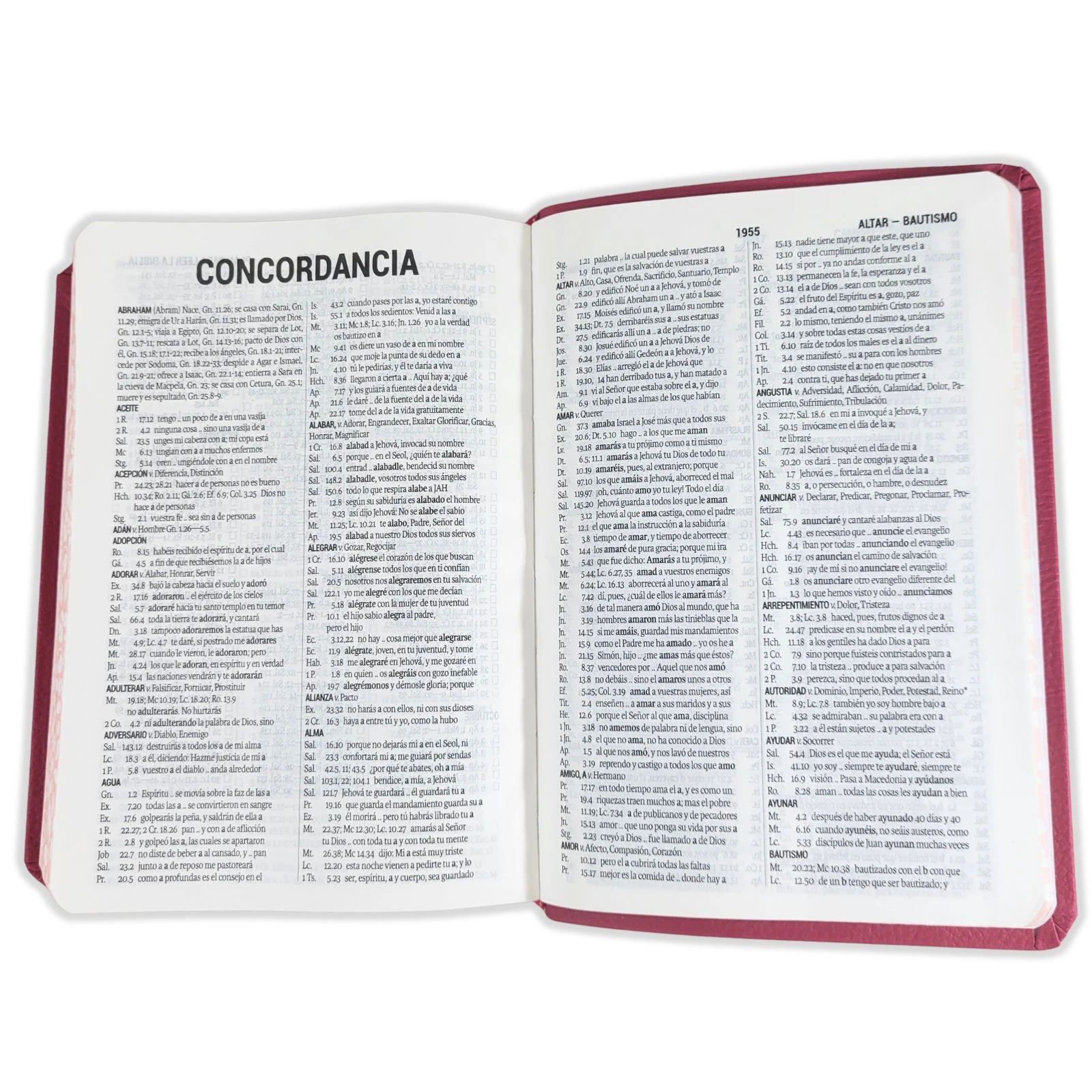 Biblia Compacta con Letra Grande 11 puntos RV1960, imit piel flores fucsia con canto floral - Imagen 4