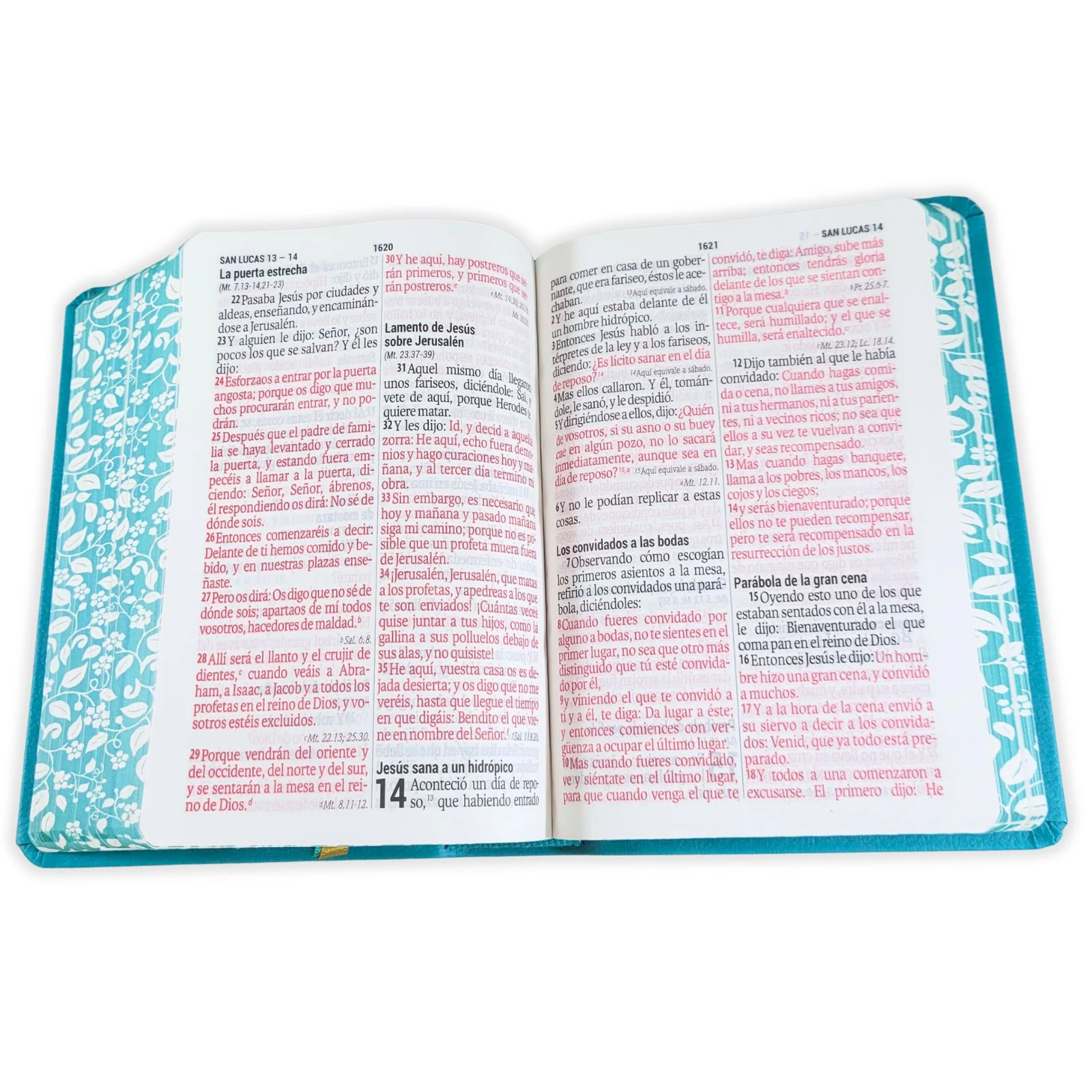 Biblia Compacta con Letra Grande 11 puntos RV1960, imit piel flores turquesa con canto floral - Imagen 3