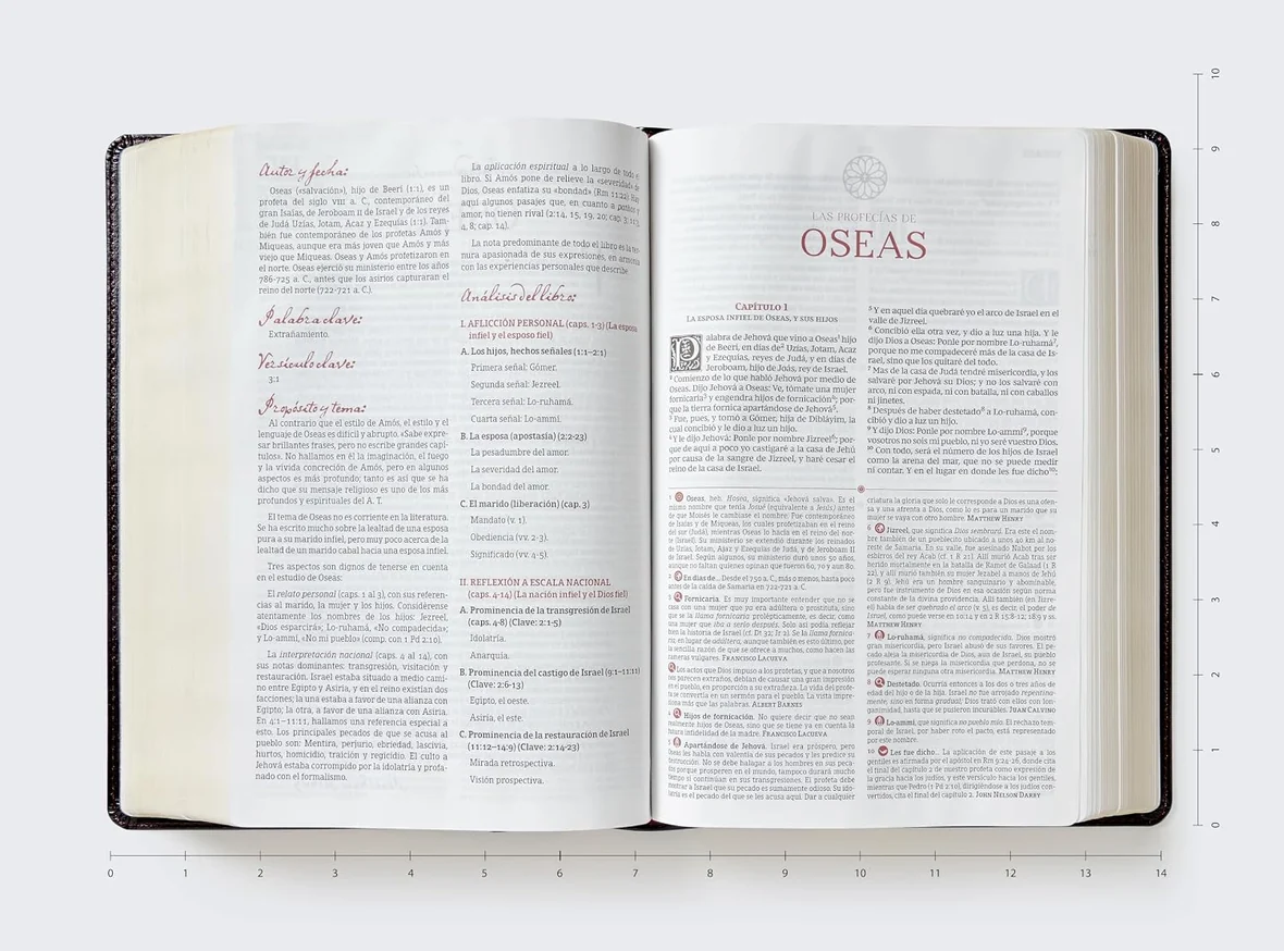 Biblia de estudio Matthew Henry y legado cristiano RVR , Piel negro - Imagen 5