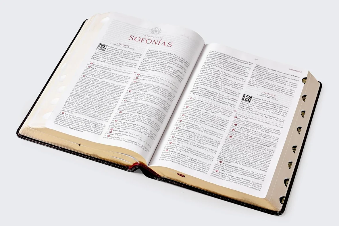 Biblia de estudio Matthew Henry y legado cristiano RVR, Piel negro , con índice - Imagen 2