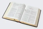 Alternative view of Biblia de estudio Matthew Henry y legado cristiano RVR , Piel negro