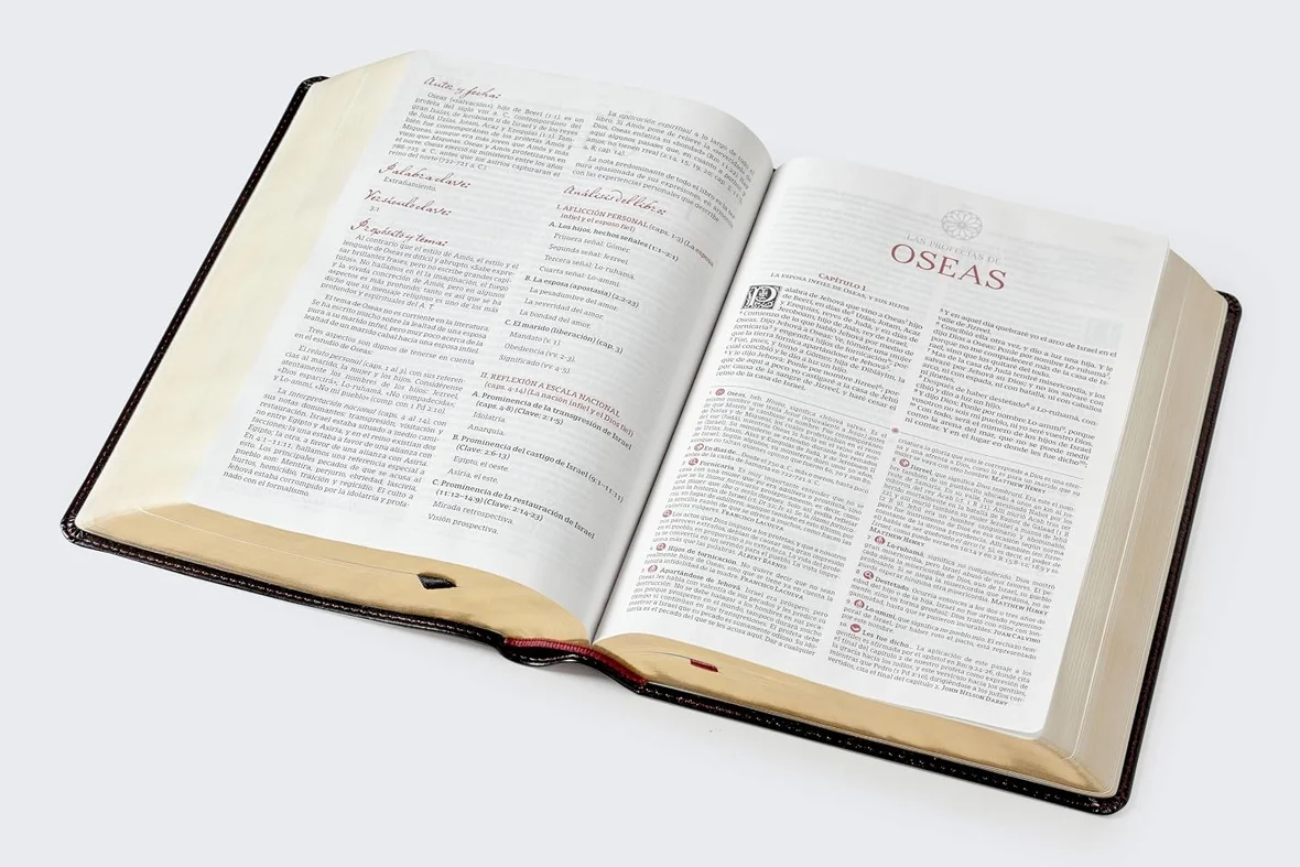 Biblia de estudio Matthew Henry y legado cristiano RVR , Piel negro - Imagen 2