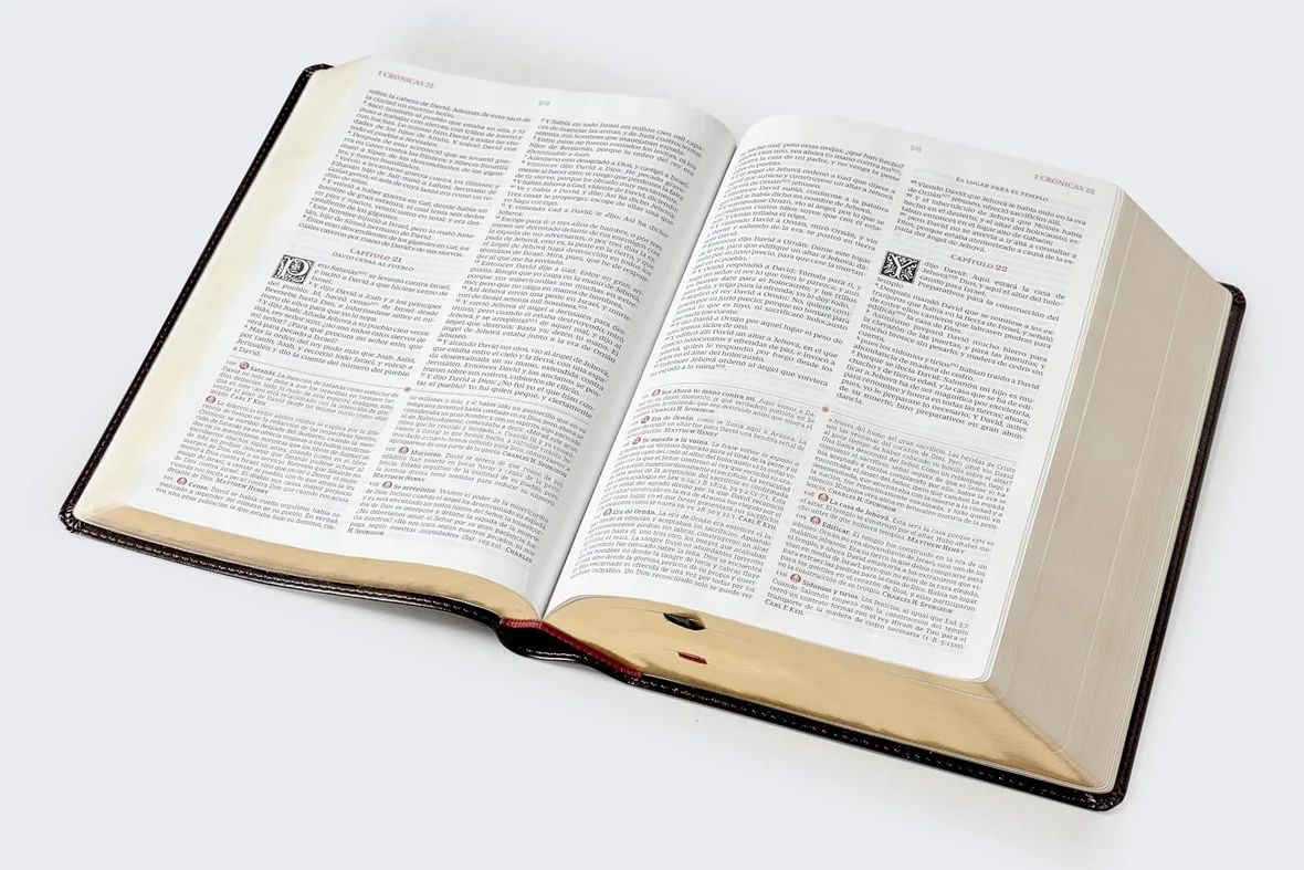 Biblia de estudio Matthew Henry y legado cristiano RVR , Piel negro - Imagen 3