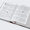 Biblia de estudio Matthew Henry y legado cristiano RVR, Piel negro , con índice - Imagen 3