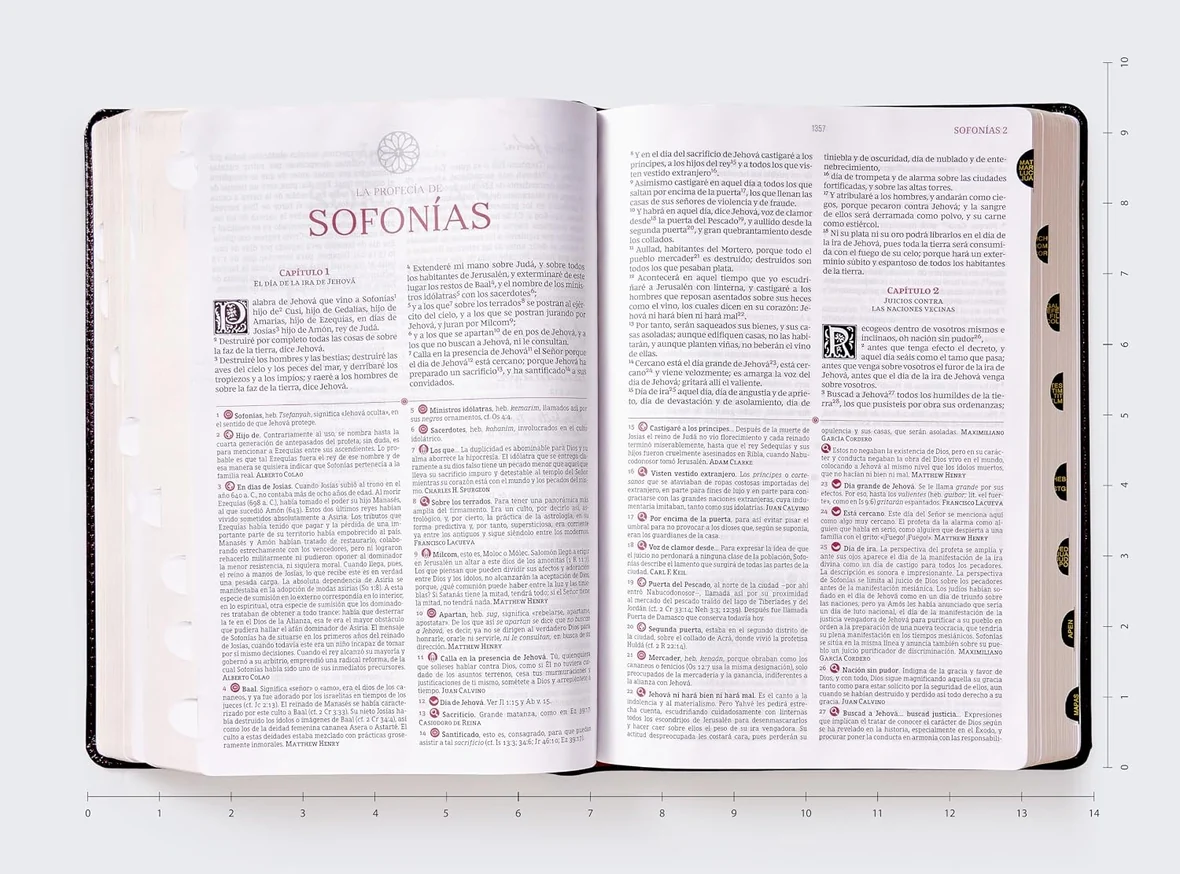 Biblia de estudio Matthew Henry y legado cristiano RVR, Piel negro , con índice - Imagen 4