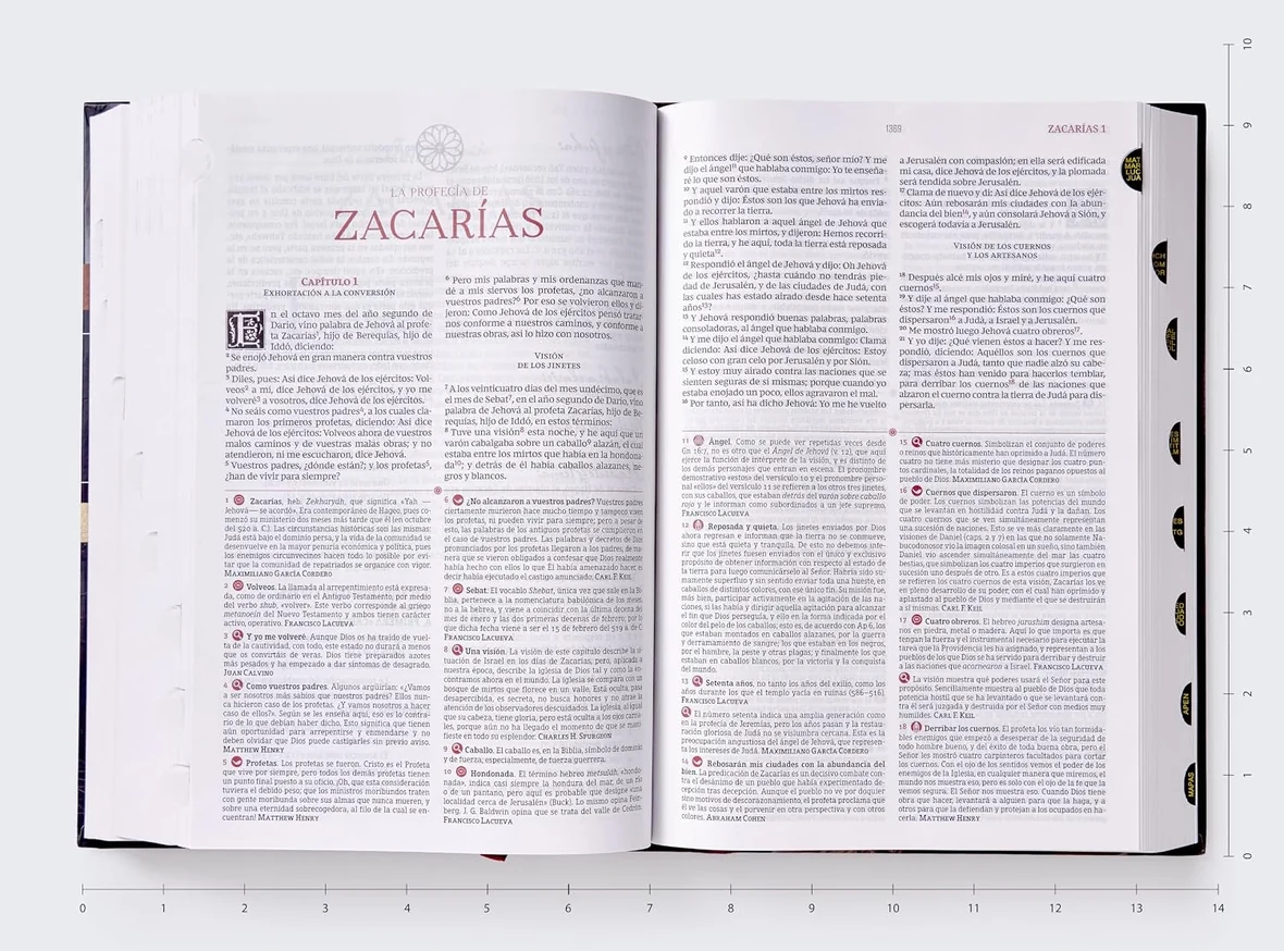 Biblia de estudio Matthew Henry y legado cristiano RVR , Tapa dura, con índice - Imagen 3
