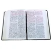 Biblia de Estudio de la Vida Plena RV1960, piel fabricada , negro - Imagen 2