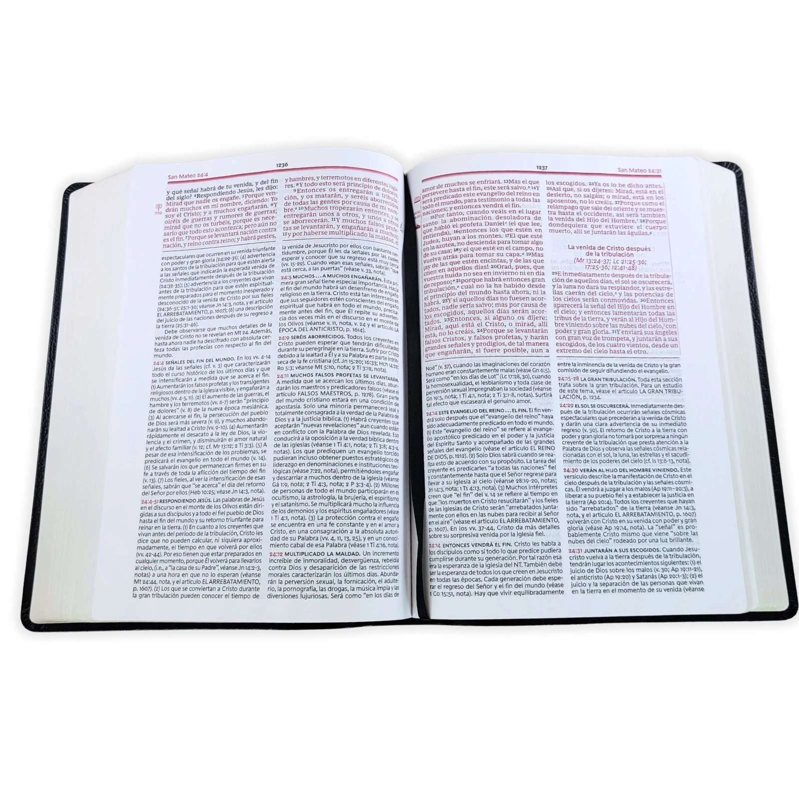 Biblia de Estudio de la Vida Plena RV1960, piel fabricada , negro - Imagen 2