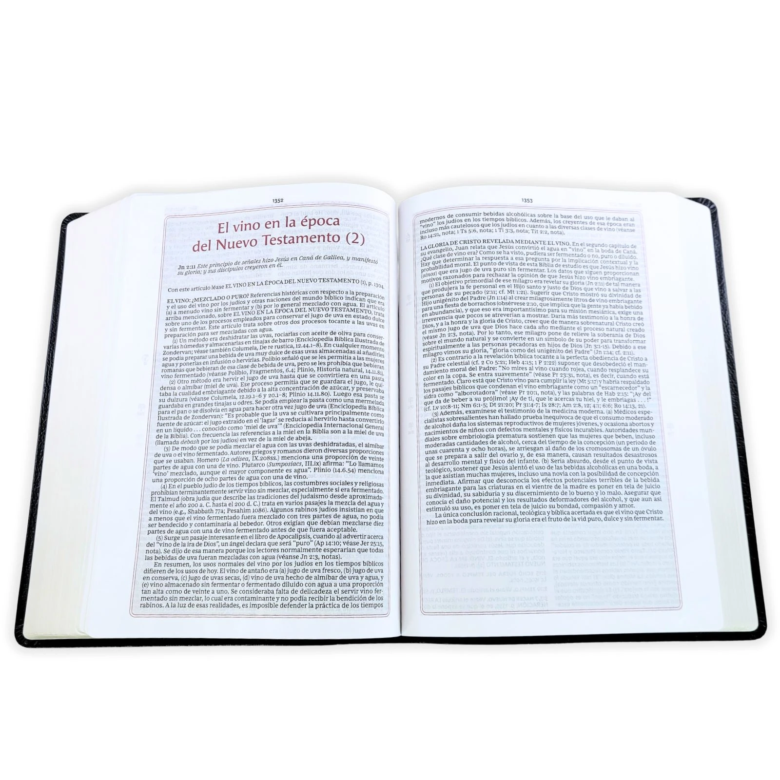 Biblia de Estudio de la Vida Plena RV1960, piel fabricada , negro - Imagen 3