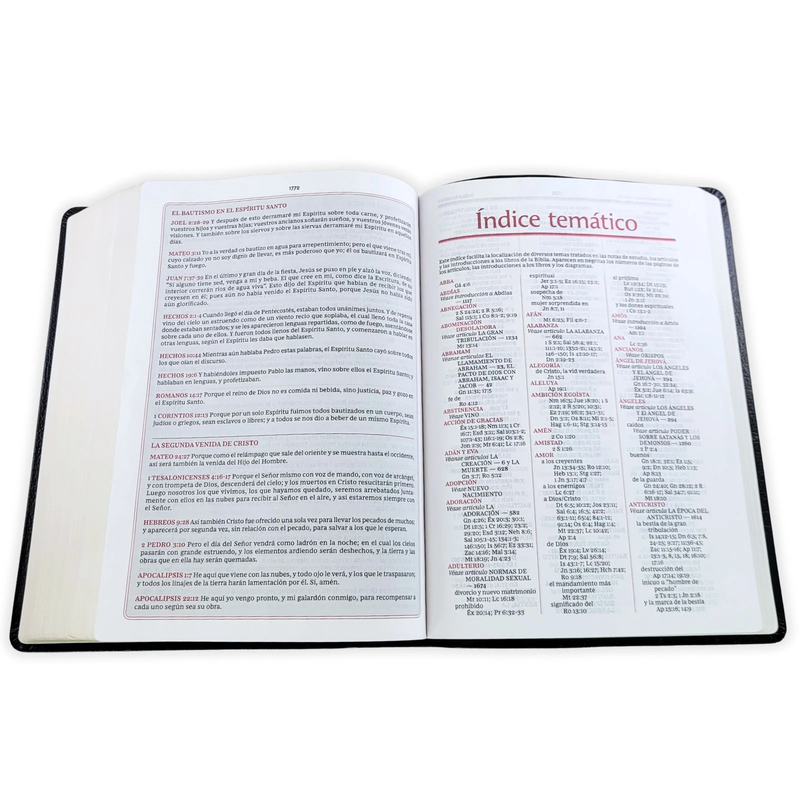 Biblia de Estudio de la Vida Plena RV1960, piel fabricada , negro - Imagen 4