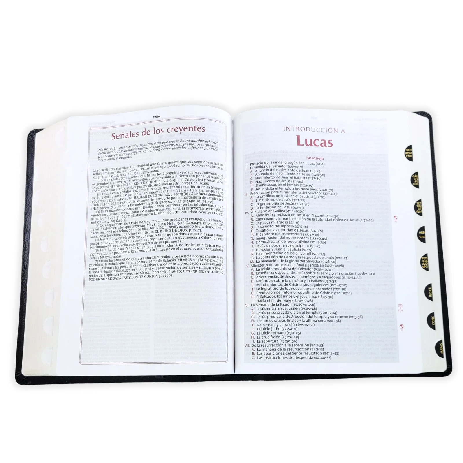 Biblia de Estudio de la Vida Plena RV1960, piel fabricada, negro con índice - Imagen 2