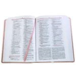 Alternative view of Biblia de Estudio de la Vida Plena RV1960, imit piel , oro rosa