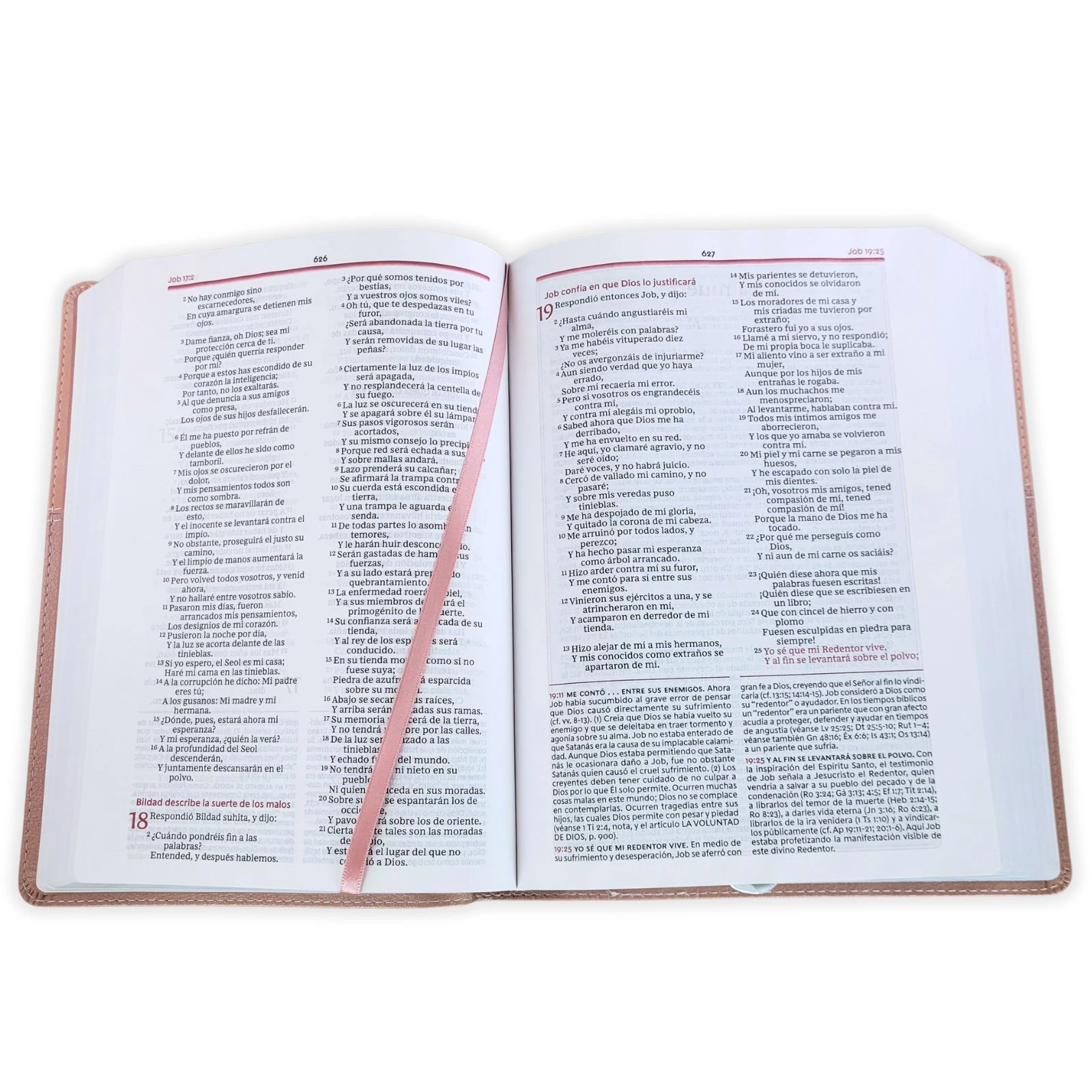 Biblia de Estudio de la Vida Plena RV1960, imit piel , oro rosa - Imagen 2