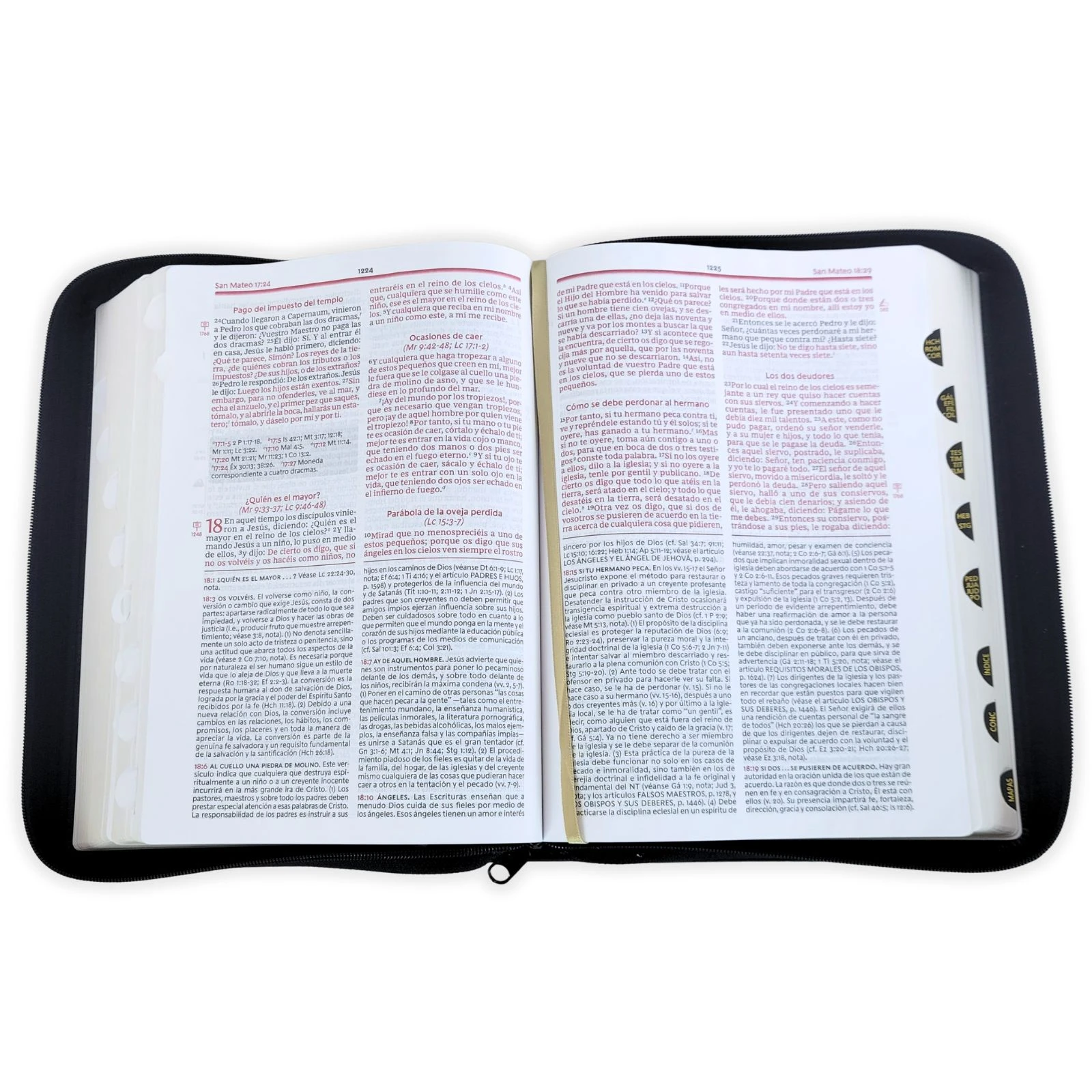 Biblia de Estudio de la Vida Plena con Cierre RV1960, imit piel , negro con índice - Imagen 3