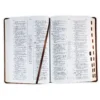 Biblia de Estudio Scofield RV1960, imit. piel verde y castaño con índice - Imagen 2