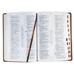 Alternative view of Biblia de Estudio Scofield RV1960, imit. piel verde y castaño con índice