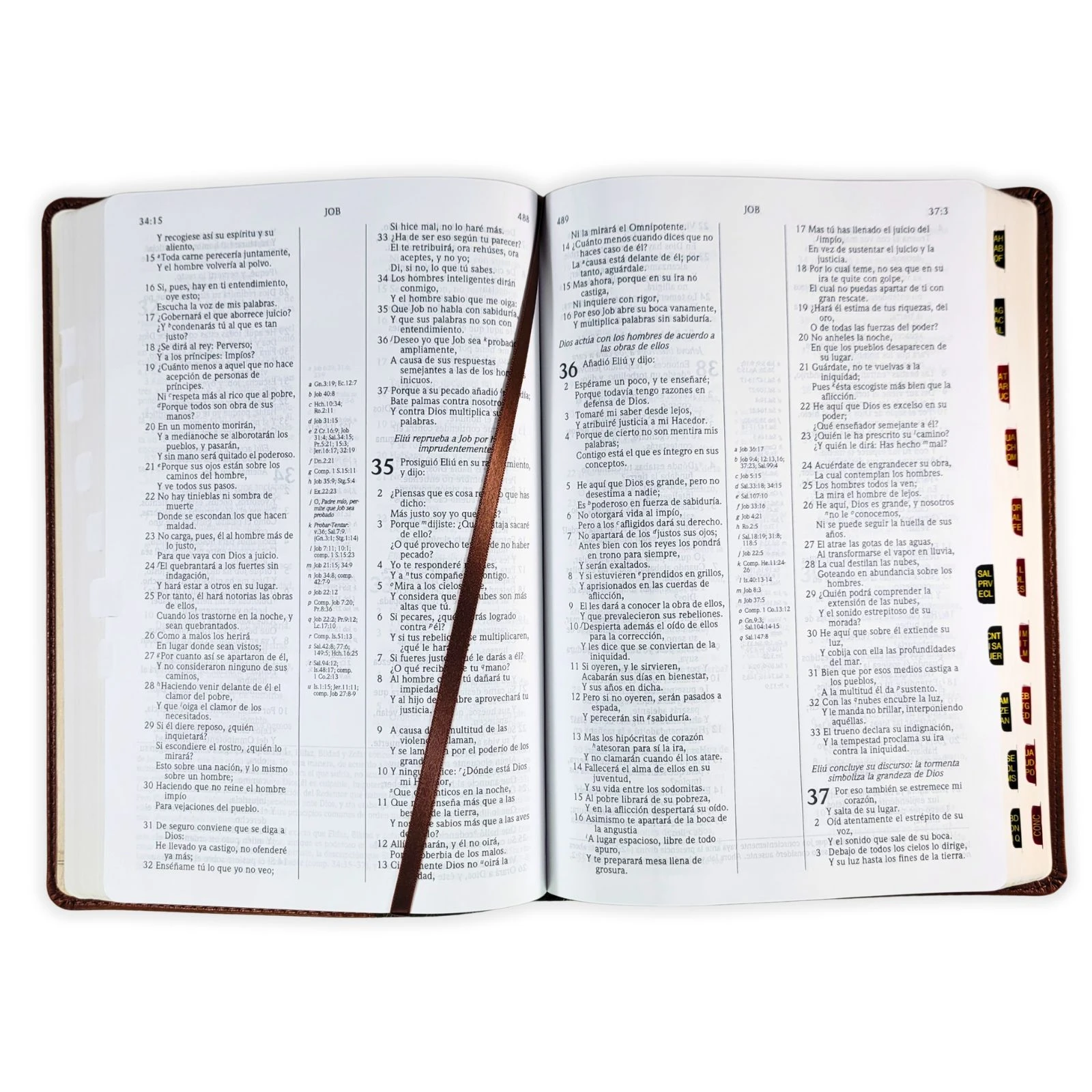 Biblia de Estudio Scofield RV1960, imit. piel verde y castaño con índice - Imagen 2