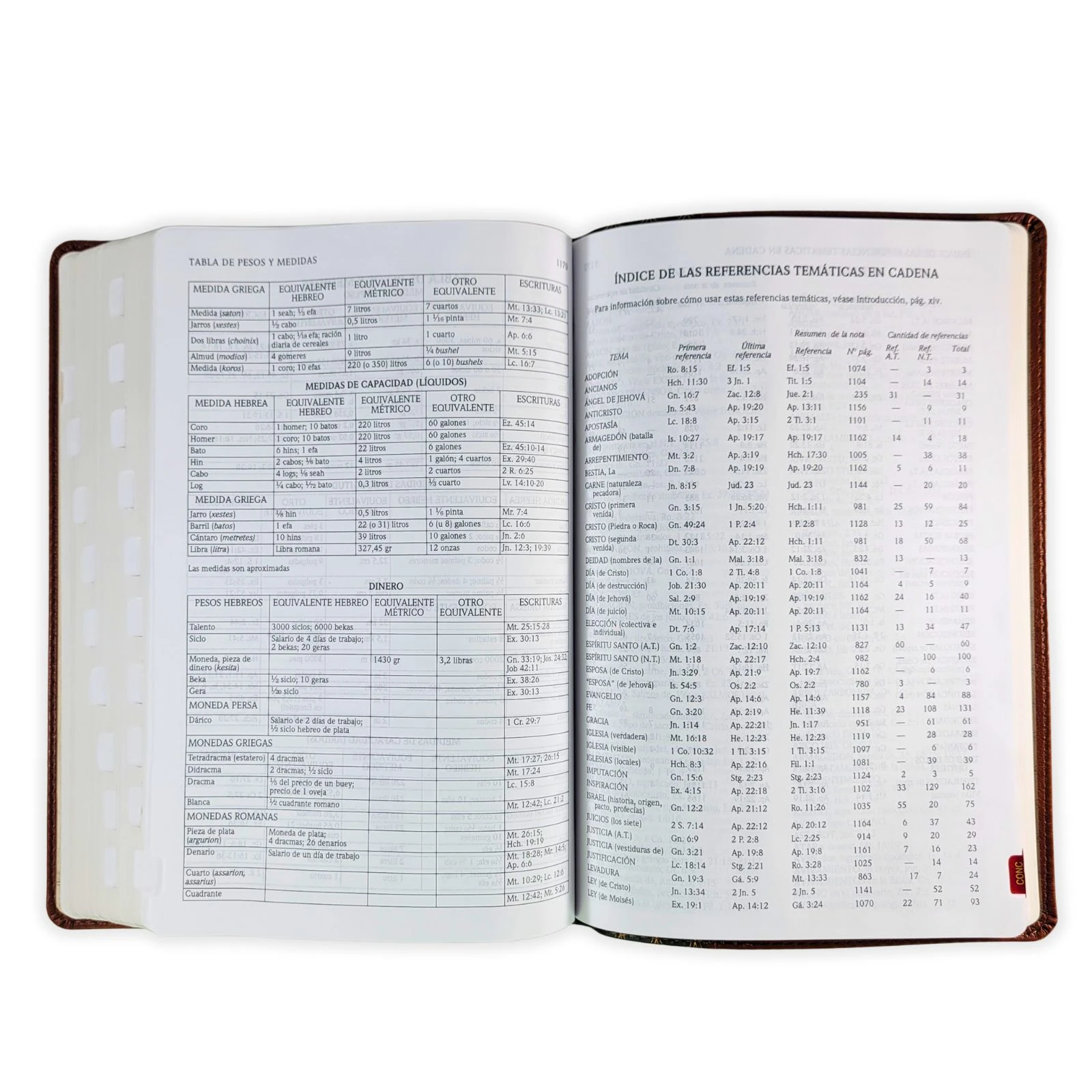 Biblia de Estudio Scofield RV1960, imit. piel verde y castaño con índice - Imagen 4