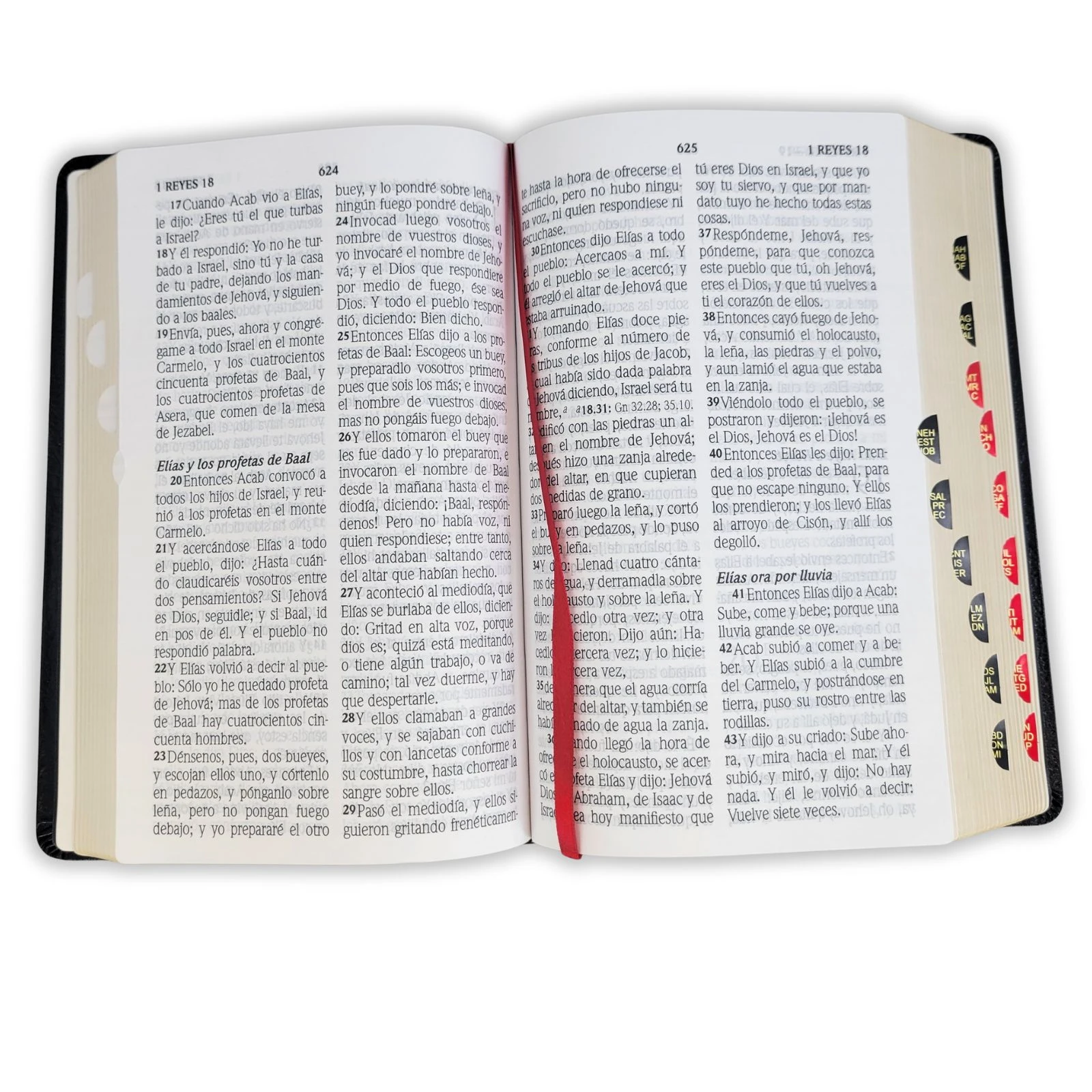 Biblia Letra Gigante RV1960, letra 14 puntos , piel fabricada, negro con índice - Imagen 2