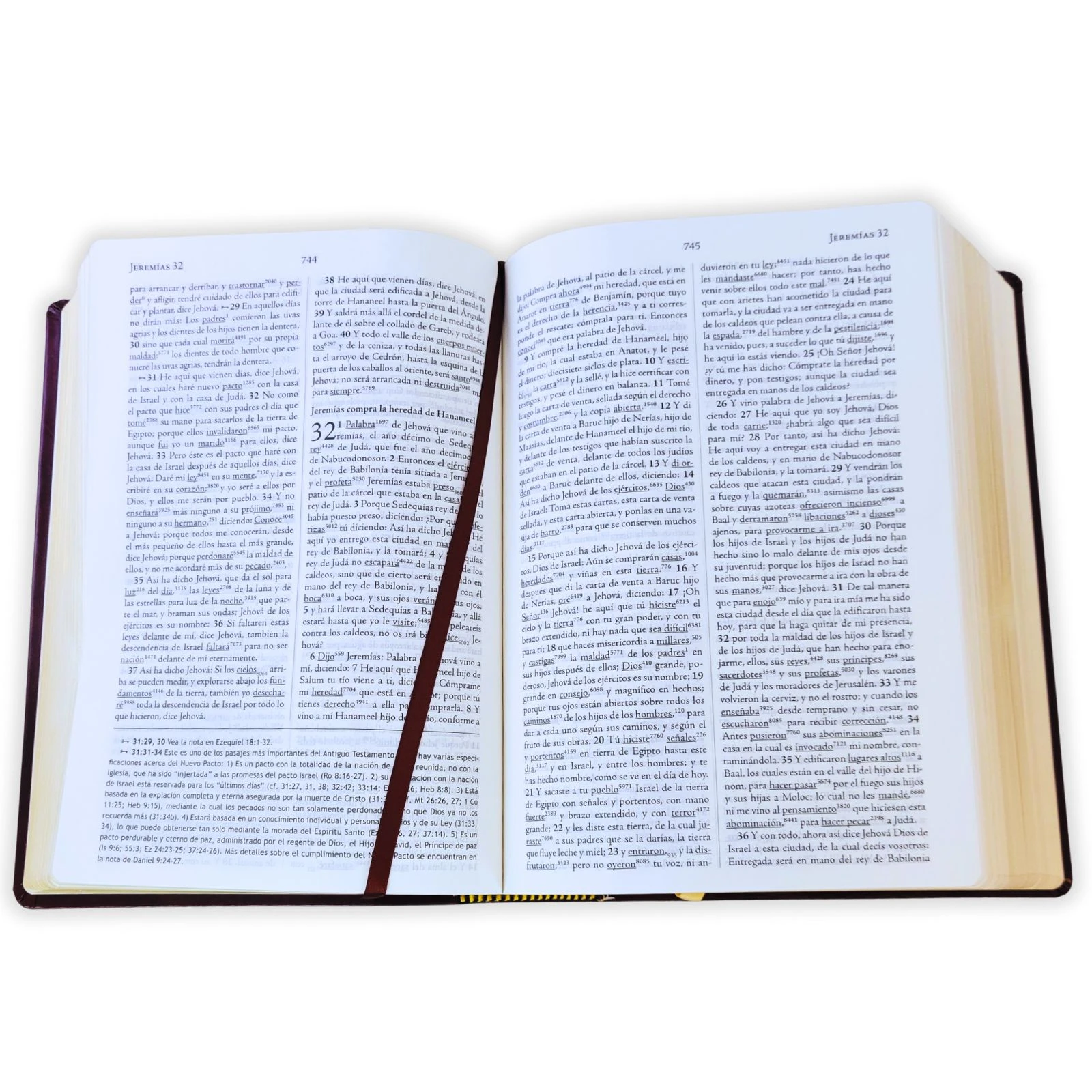 Biblia de Estudio Palabra Clave RV1960, con diccionario Strong en hebreo y griego, imit. piel, vino y marrón - Imagen 2