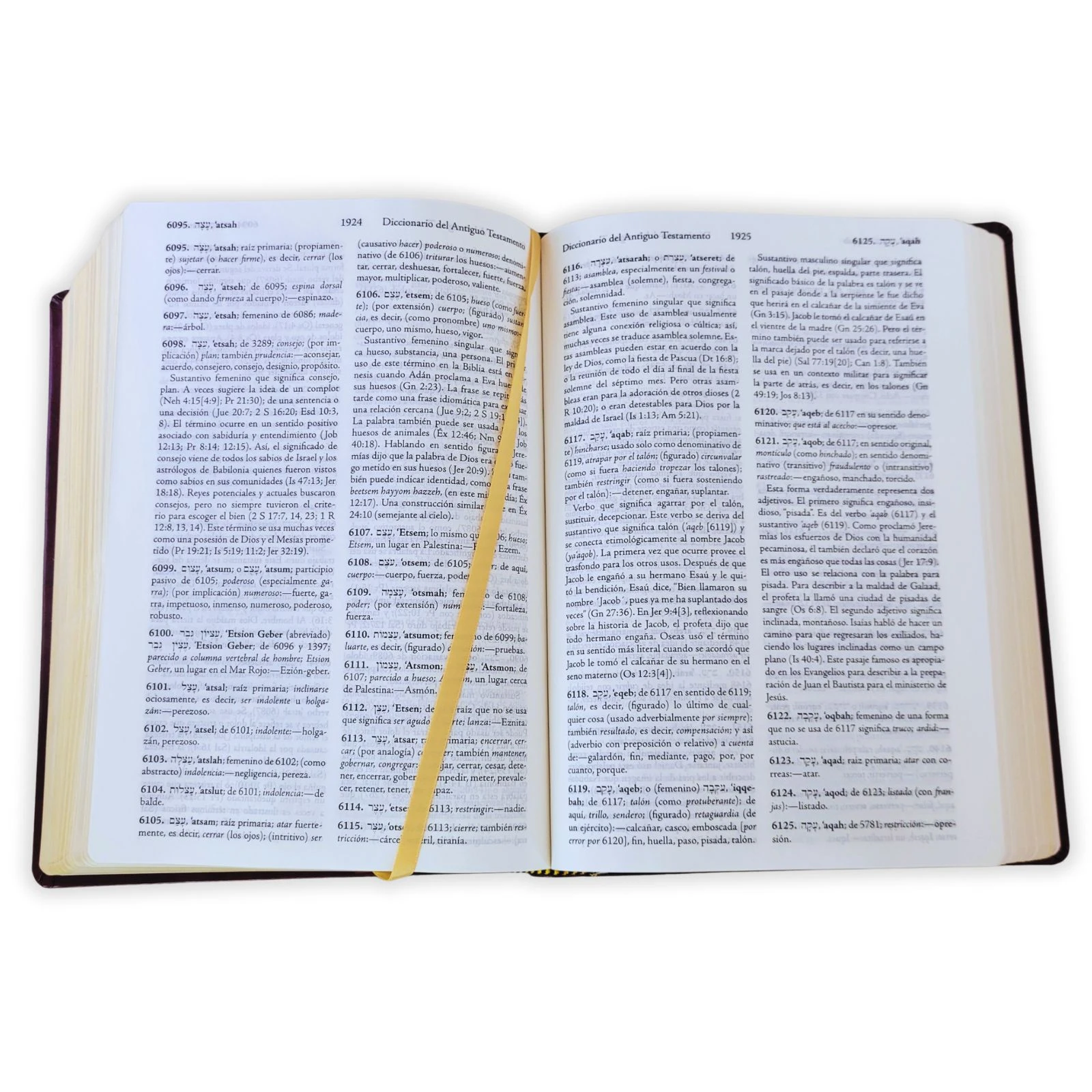 Biblia de Estudio Palabra Clave RV1960, con diccionario Strong en hebreo y griego, imit. piel, vino y marrón - Imagen 3