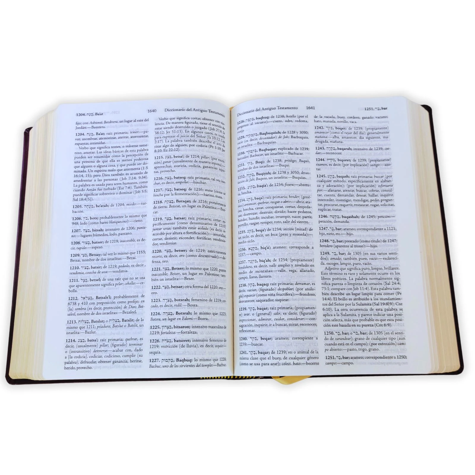 Biblia de Estudio Palabra Clave RV1960, con diccionario Strong en hebreo y griego, imit. piel, vino y marrón - Imagen 4