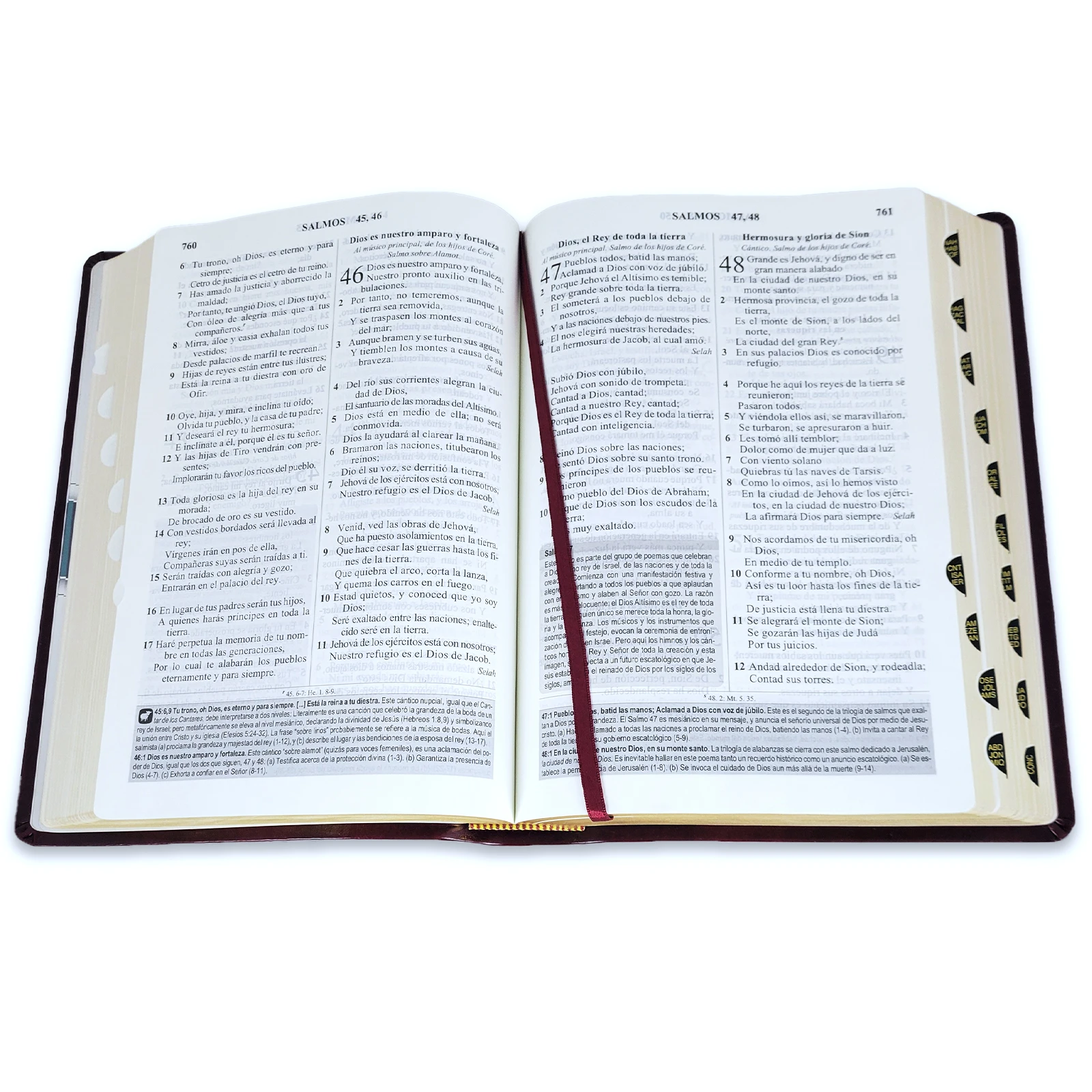 Biblia de Estudio Letra Grande, Senda de Vida Ampliada RV1960, imit. piel, negro con índice - Imagen 2