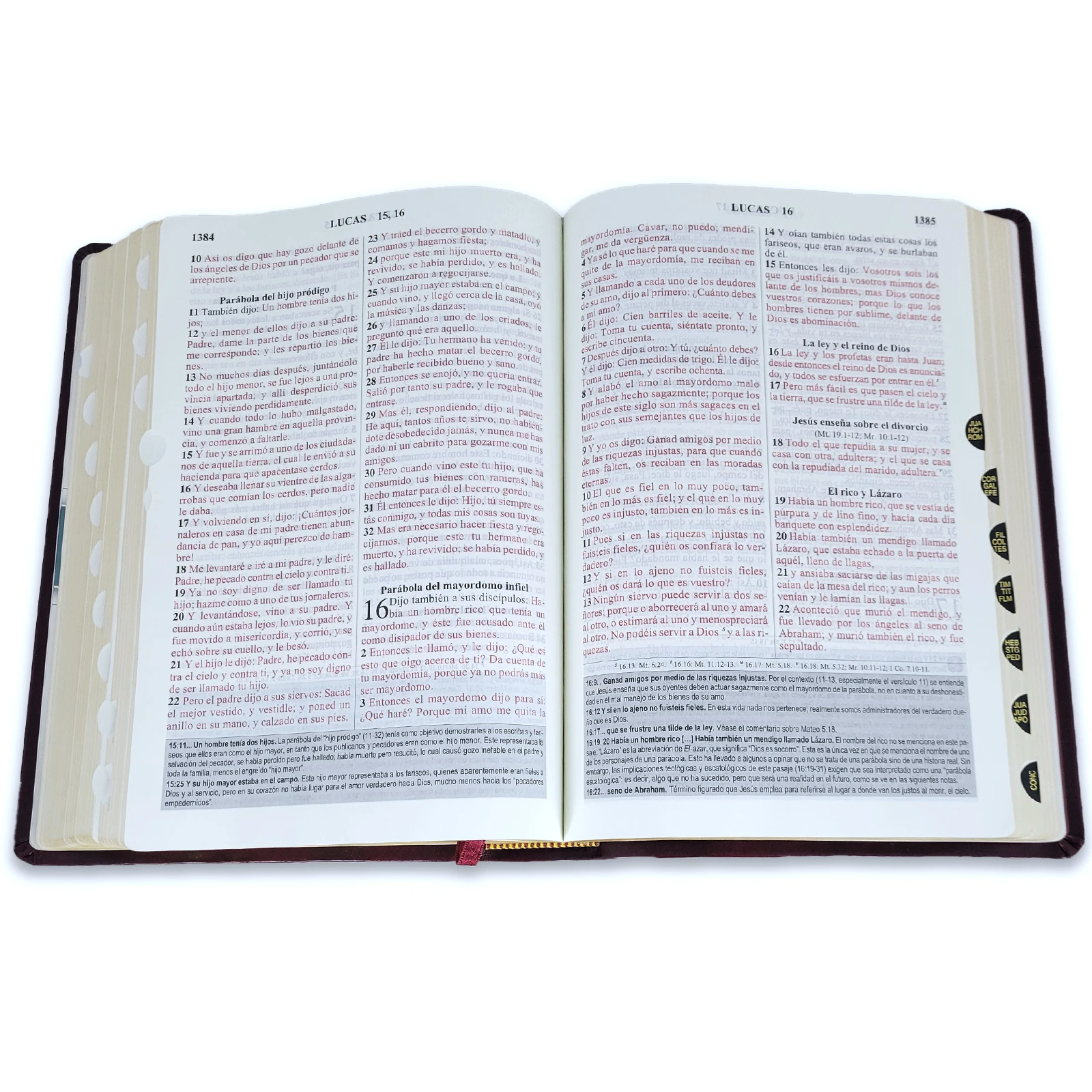 Biblia de Estudio Letra Grande, Senda de Vida Ampliada RV1960, imit. piel, negro con índice - Imagen 3