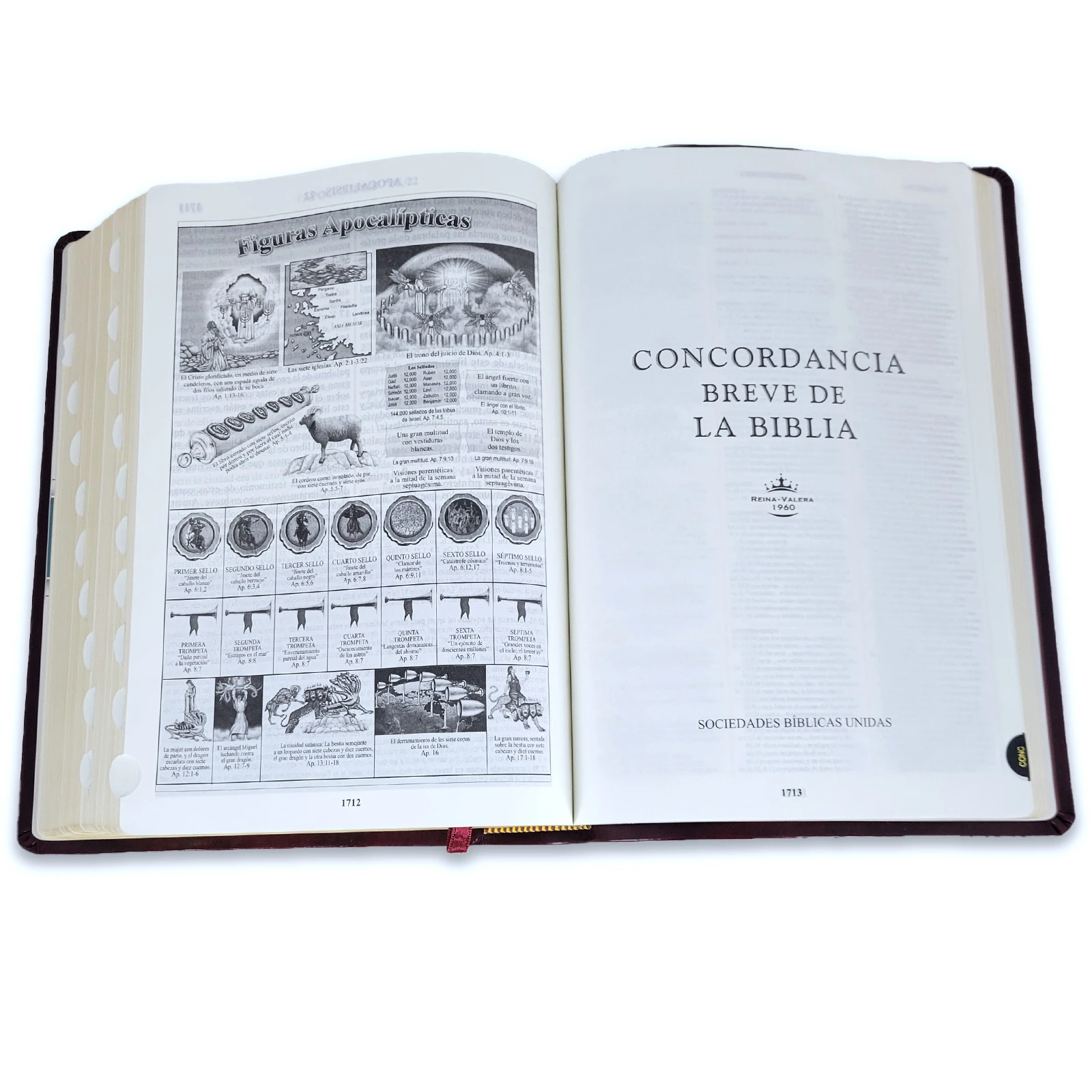 Biblia de Estudio Letra Grande, Senda de Vida Ampliada RV1960, imit. piel, marrón con índice - Imagen 4