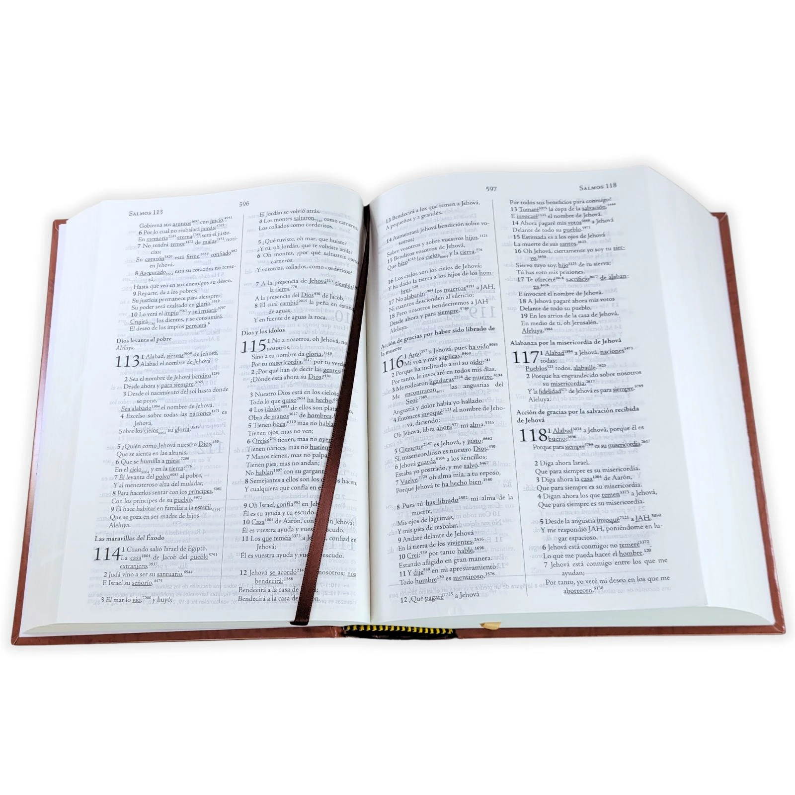 Biblia de Estudio Palabra Clave RV1960, con diccionario Strong en hebreo y griego, tapa dura, café - Imagen 2