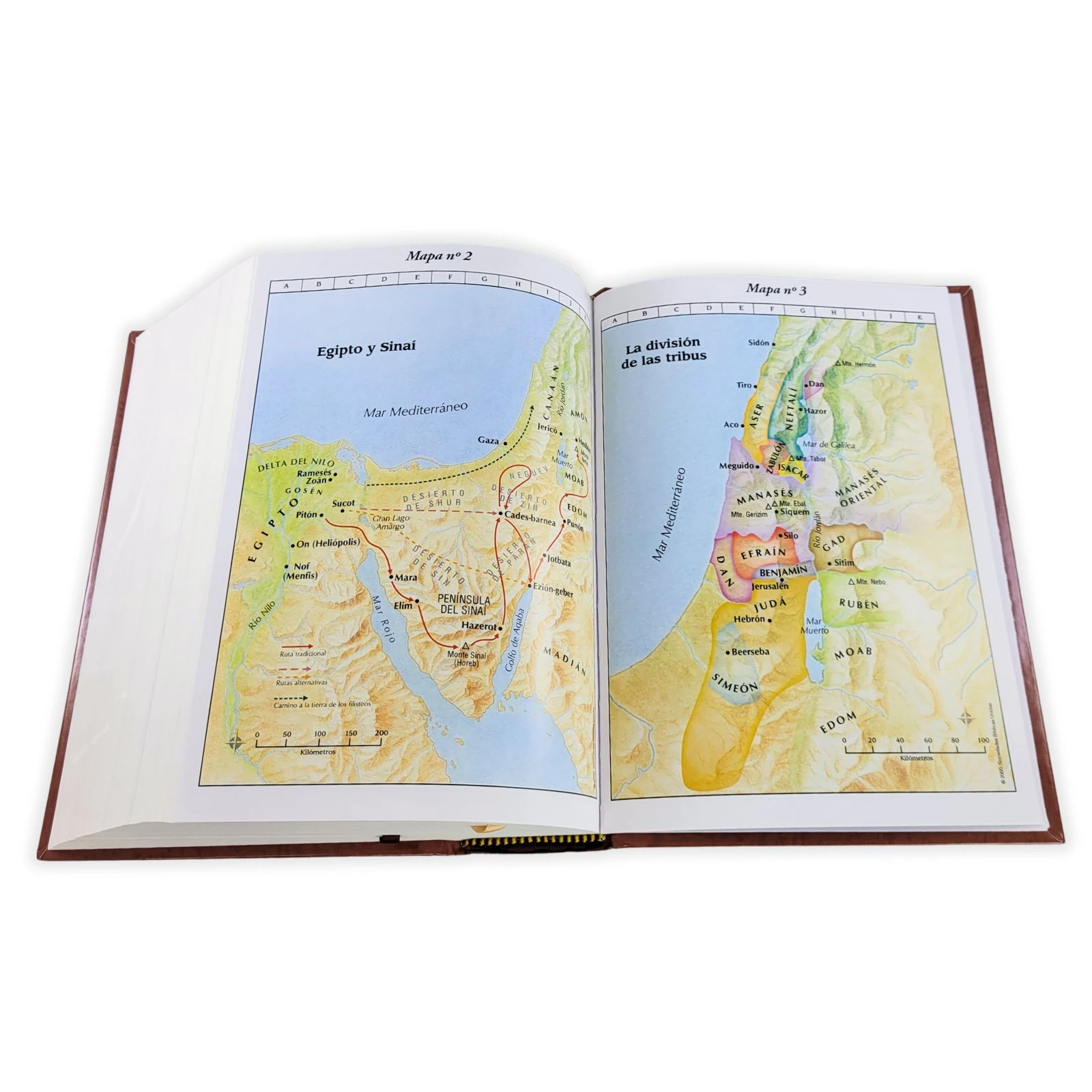 Biblia de Estudio Palabra Clave RV1960, con diccionario Strong en hebreo y griego, tapa dura, café - Imagen 5