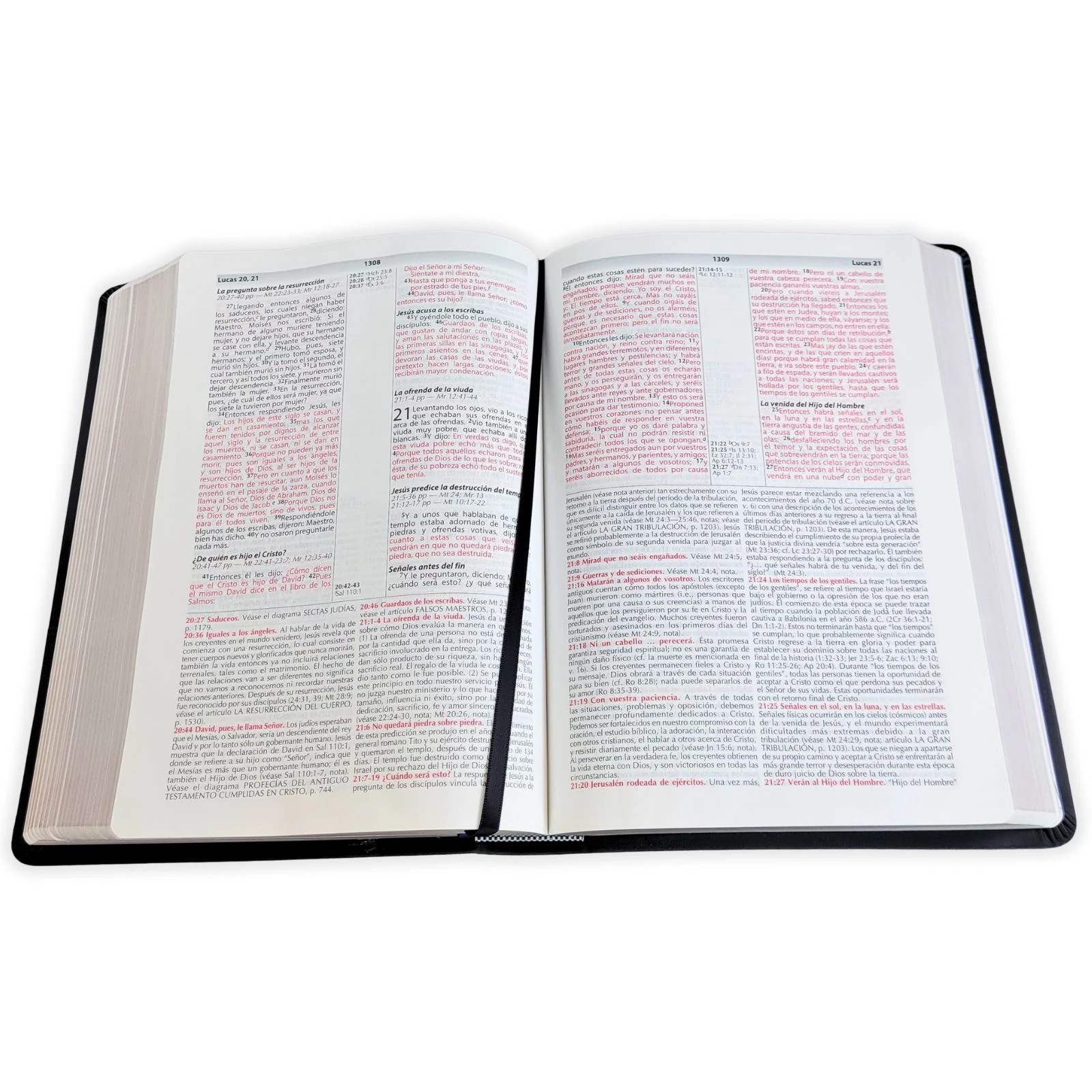 Biblia de Estudio de la Vida Plena RV1960, imit piel negro - Imagen 3
