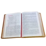 Alternative view of Biblia de Estudio de la Vida Plena RV1960, imit piel marrón