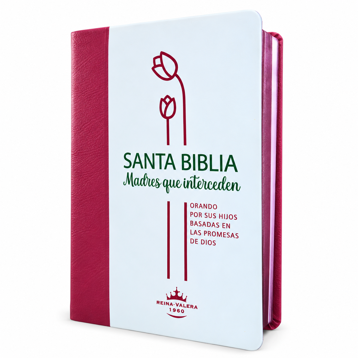 Biblia Letra Grande Manual 12 puntos RV1960, imit piel - Madres que interceden