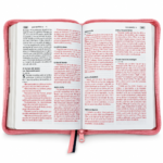Alternative view of Biblia Letra Grande 12 puntos RV 1960 Imi piel con cierre referencia  y concordancia palabras de Jesus en rojo