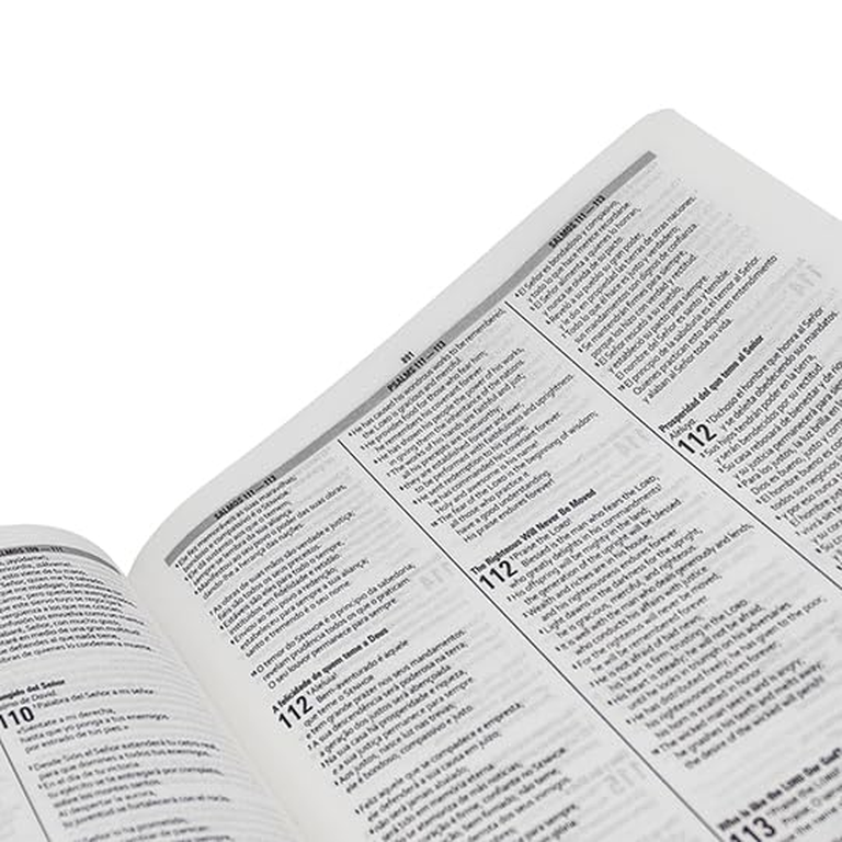 Biblia Trilingue Español, Inglés y Portugués – RVC Imitacion Piel Marron duo Tone - Imagen 5