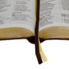 Biblia Trilingue Español, Inglés y Portugués – RVC Imitacion Piel Marron duo Tone - Imagen 2
