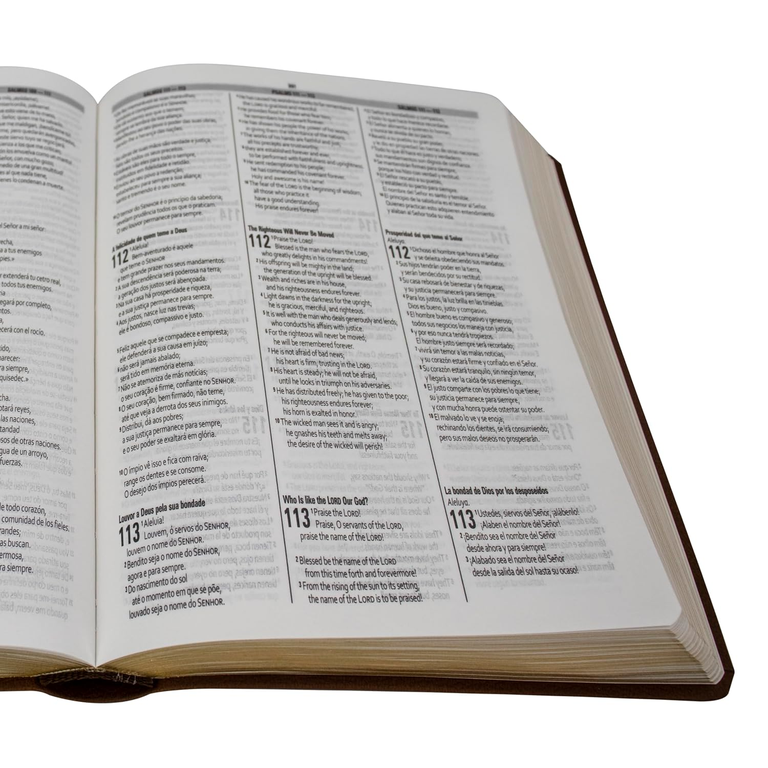 Biblia Trilingue Español, Inglés y Portugués – RVC Imitacion Piel Marron duo Tone - Imagen 3