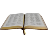 Biblia Trilingue Español, Inglés y Portugués – RVC Imitacion Piel Marron duo Tone - Imagen 4