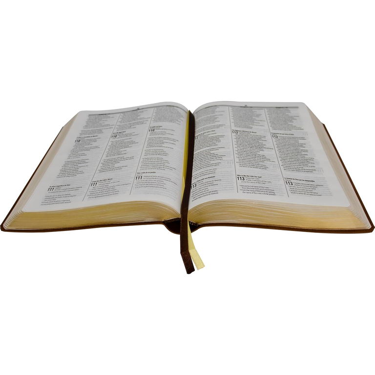 Biblia Trilingue Español, Inglés y Portugués – RVC Imitacion Piel Marron duo Tone - Imagen 4