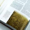 Comentario Bíblico Ilustrado Baker - Sección por sección sobre toda la Biblia - Imagen 3