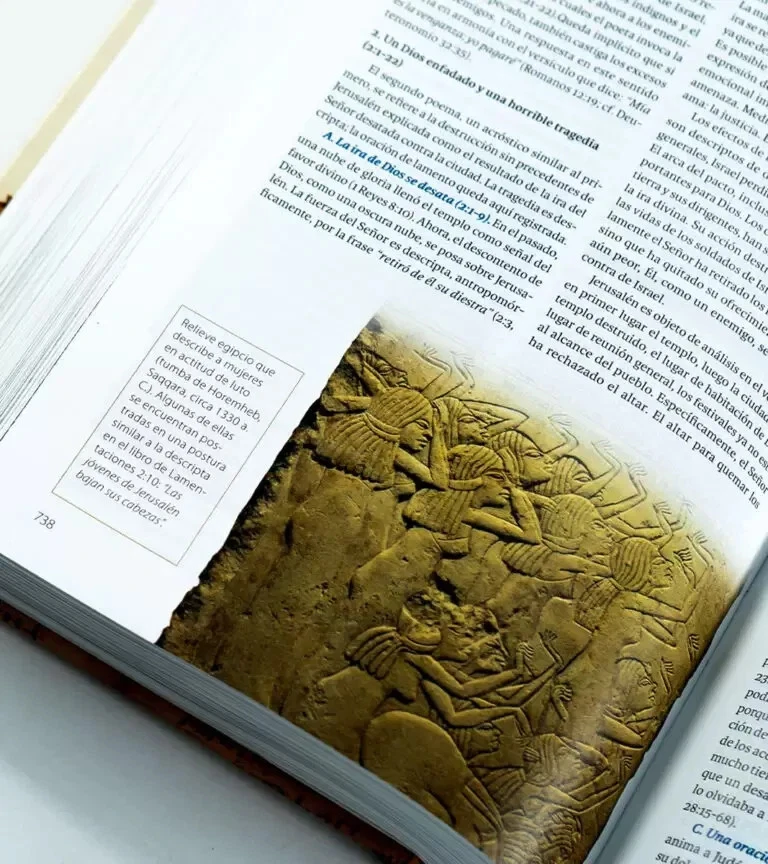 Comentario Bíblico Ilustrado Baker - Sección por sección sobre toda la Biblia - Imagen 3