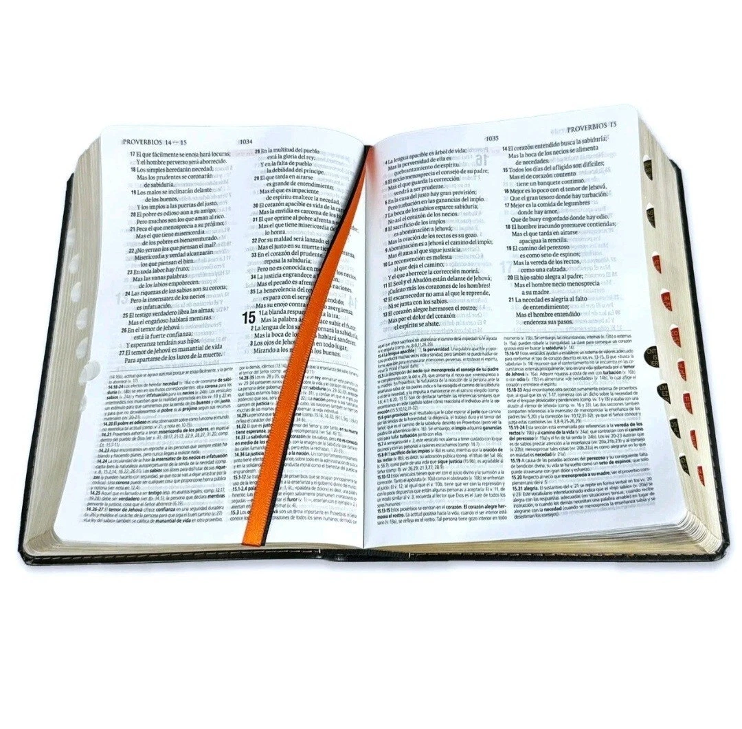 Biblia De Estudio Teológico Tamaño Manual RV1960 Piel Negra Con Indice - Imagen 4