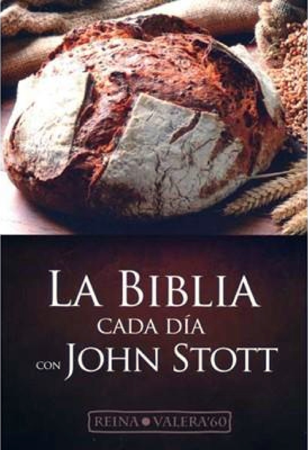 Biblia Reina Valera 1960 Cada Día Vinilo - John Stott
