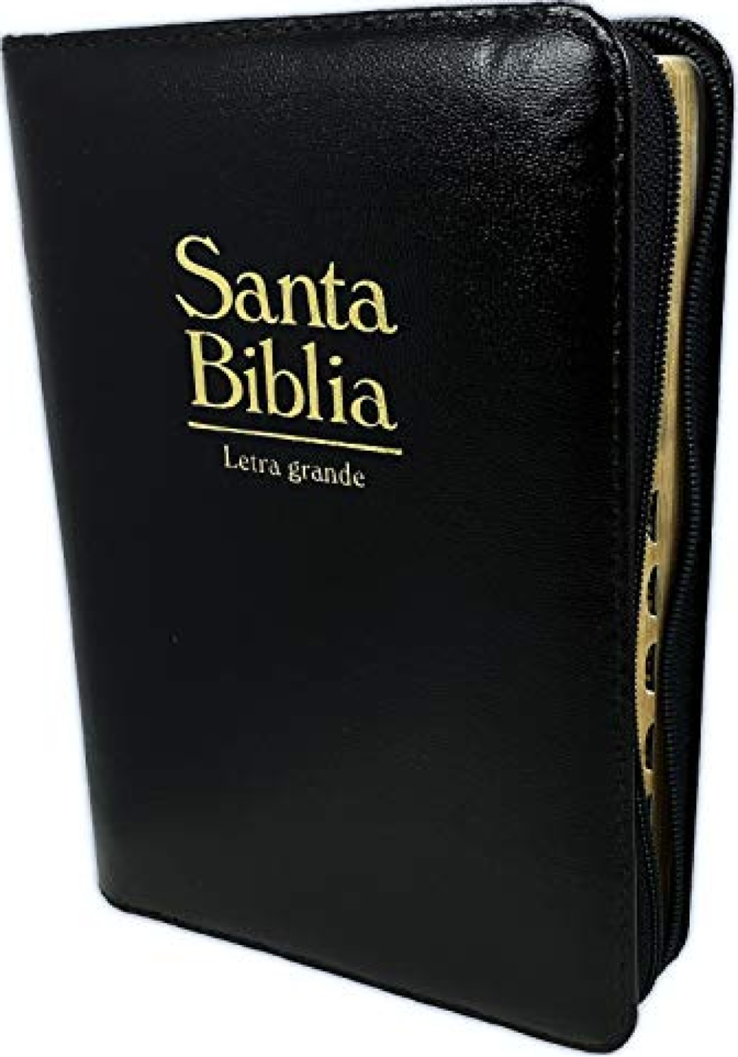 Biblia Reina Valera 1960 Letra Grande Concordancia, Acolchada con Indice Palabras de Jesús en Rojo