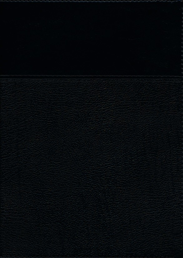Biblia de Estudio Ryrie Ampliada RVR60 Imitación Piel Duo-Tono Negro - Charles Ryrie - Imagen 3