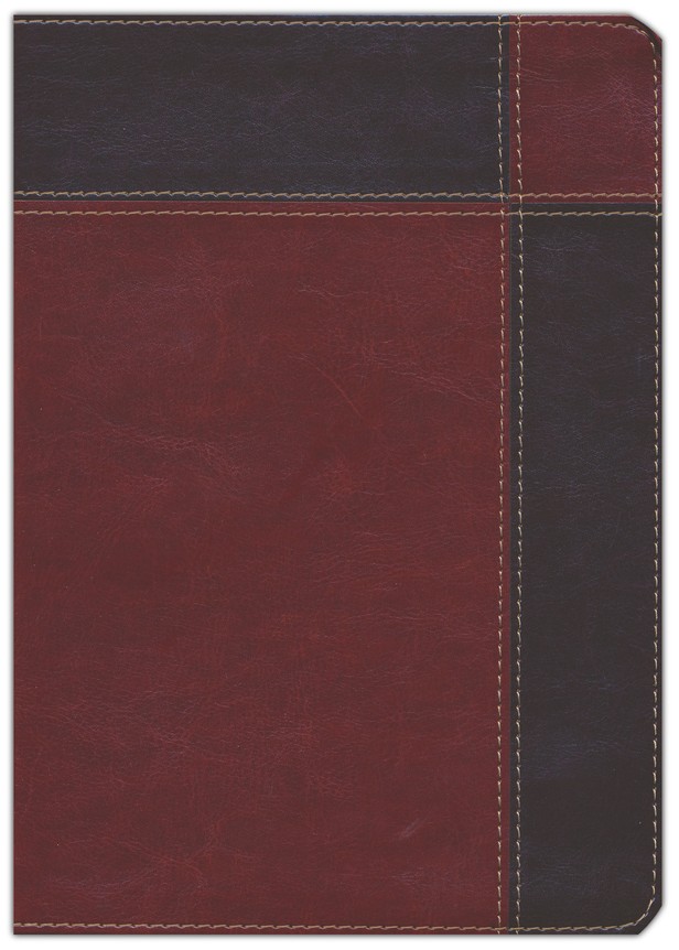Biblia de Estudio Ryrie Ampliada RVR 1960 Imitación Piel Marrón Duo Tone Index - Charles C. Ryrie - Imagen 3